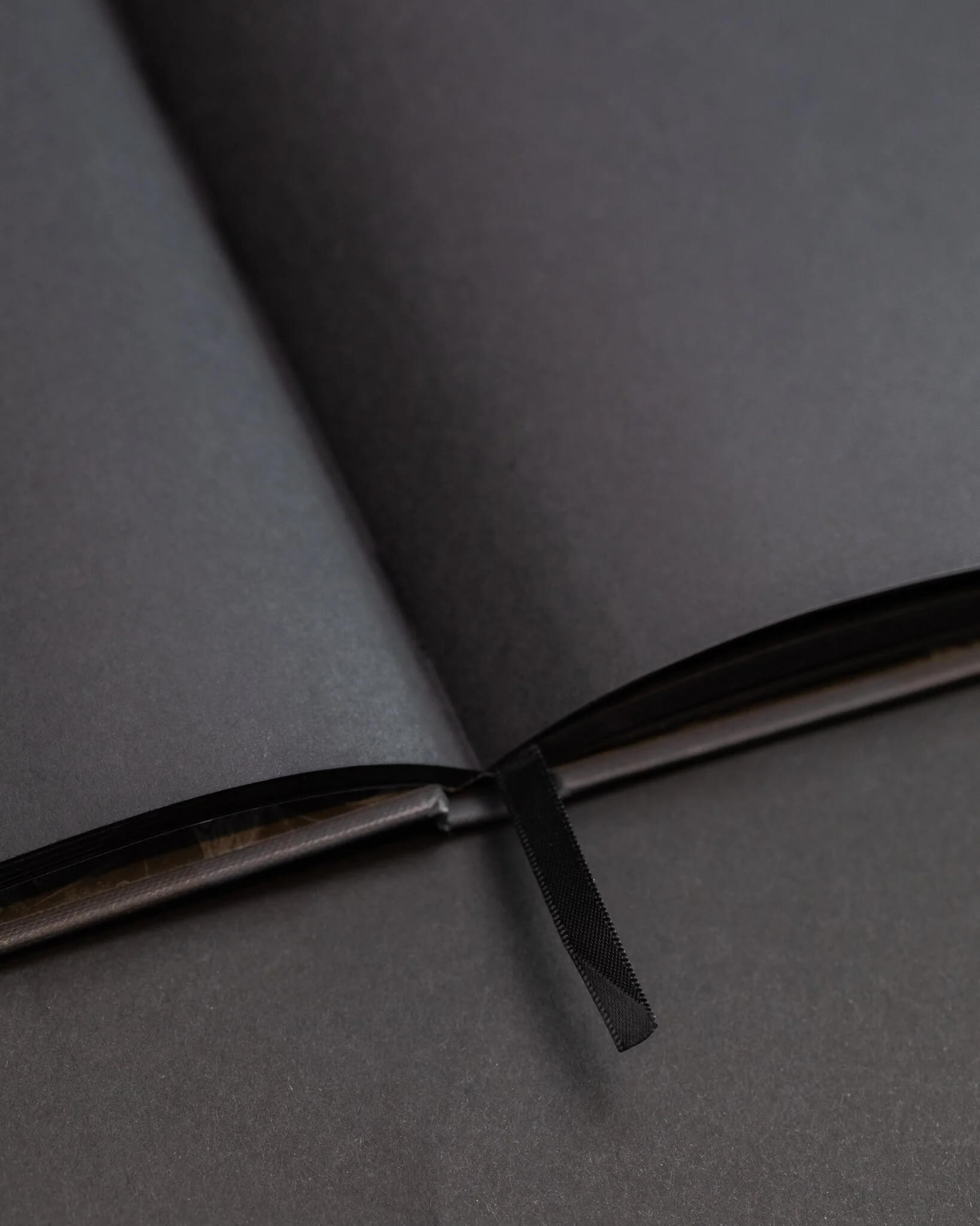 Twilight in the Evergreen Forest Dark Matter Notebook2